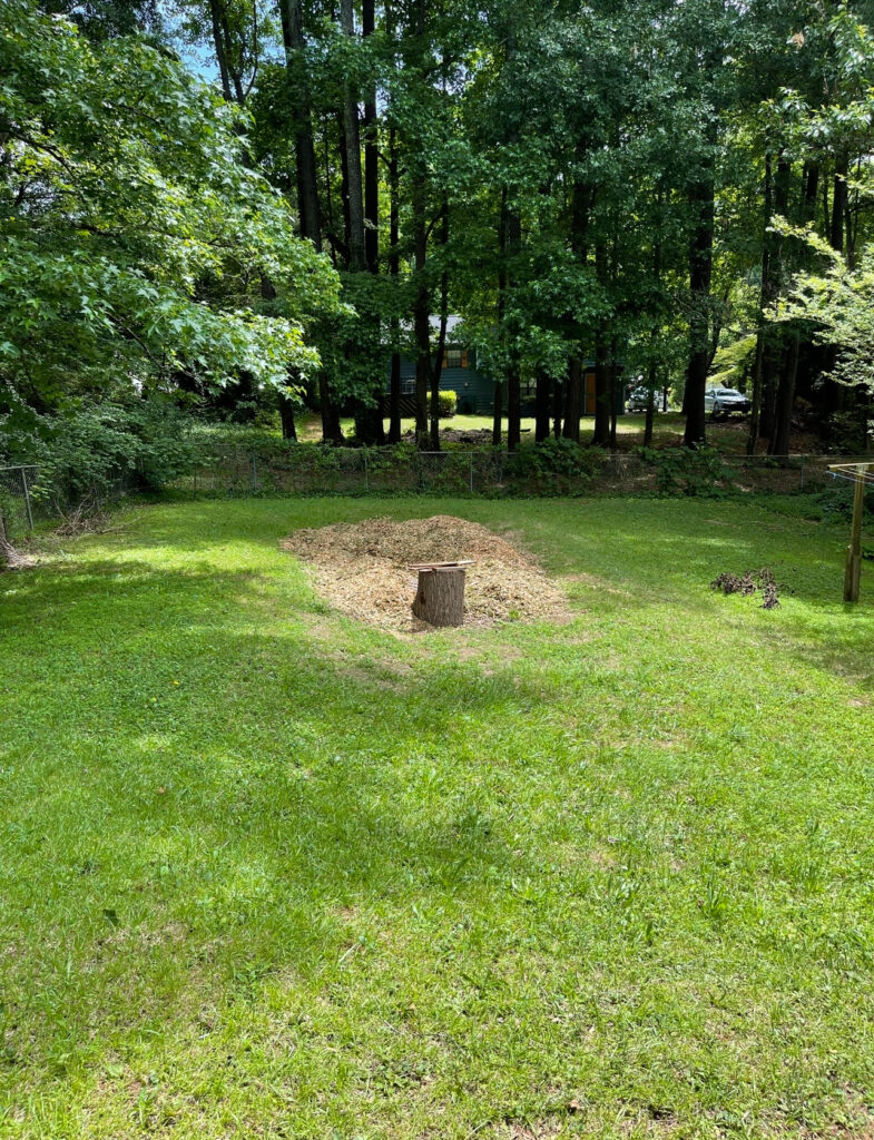 Backyard with large hole filled with mulch
