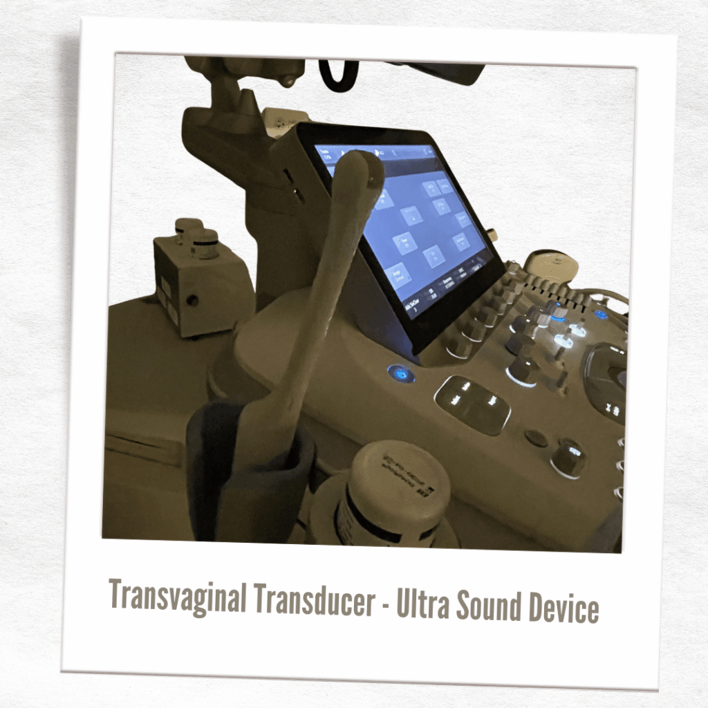 Coochie ultra Sound device. Medically this is called a Transvaginal Transducer