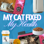 My Cat Fioxed my Health