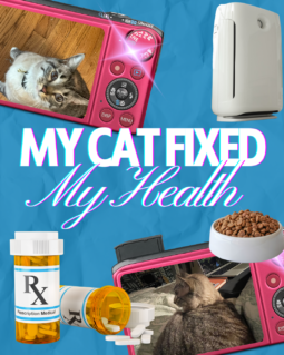 My Cat Fioxed my Health